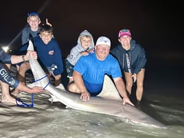 Shark Fishing