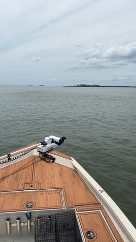 Scalloping (Easter egg hunt)