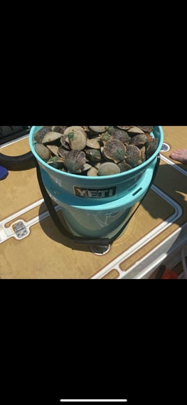 Scalloping (Easter egg hunt)