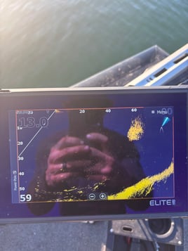 Morning Spotted Bass Fishing 