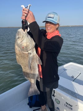 6 Hr Bay Trip (AM)