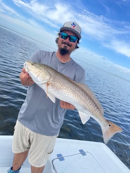 6 Hr Bay Trip (AM)