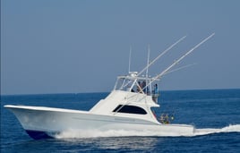 Half Day Nearshore Trip