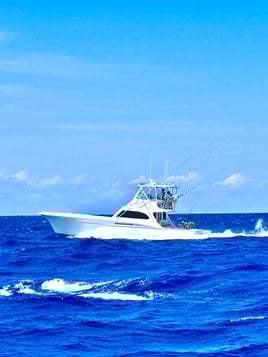 Half Day Nearshore Trip