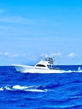 8-12 Hour Offshore Trip