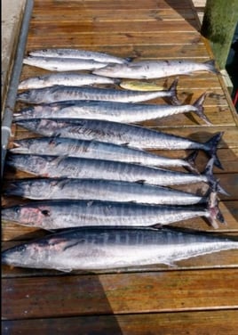 Full Day Offshore Trip