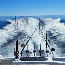 6-8 Hours Offshore Fishing Trip