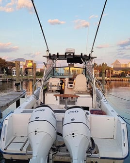 Half-Day Inshore Fishing Trip