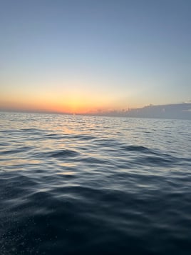 3 hr shelling/island trip 