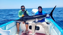 La Paz - Ensenada de los Muertos