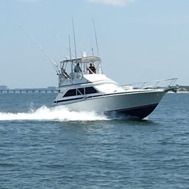 Virginia Inshore Trips