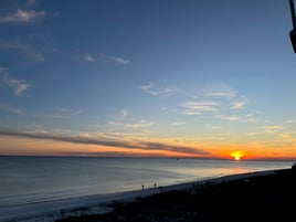 Sunset Dolphin Cruise