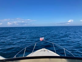 Sunset Dolphin Cruise