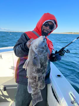 Ocean Charter (1/2 to 5 miles out) 