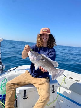 4-8 HR Inshore/Nearshore Trip