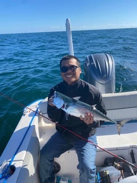 4-8 HR Inshore/Nearshore Trip