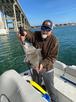 4-8 HR Inshore/Nearshore Trip