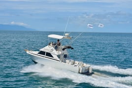 LC Sportfisher 28 