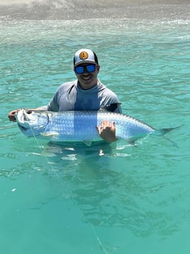 6hr Tarpon 