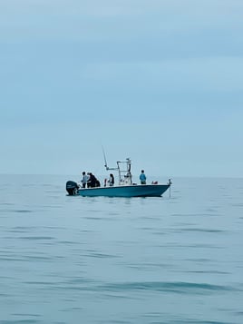 Half day inshore fishing