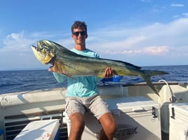 Bluefin Tuna Drifting