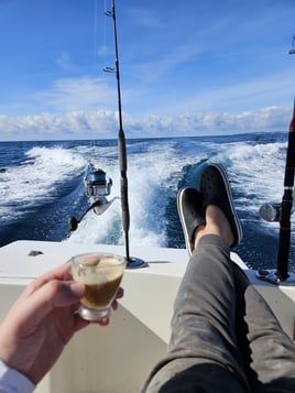 Bluefin Tuna Drifting