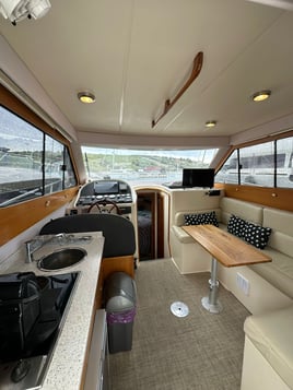 Bluefin Tuna Drifting