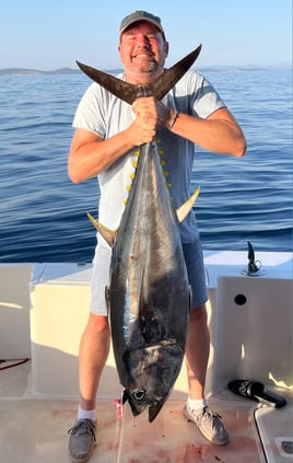 Bluefin Tuna Drifting