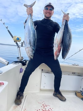 Bluefin Tuna Drifting