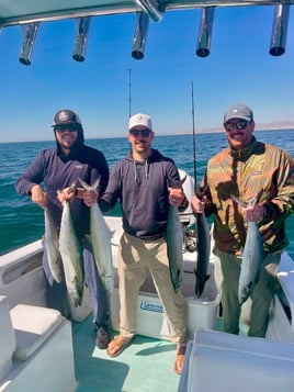 Súper Panga 26ft with toilet 