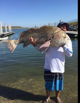 Limited time offer! Full day 