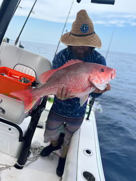 Limited time offer! Full day 