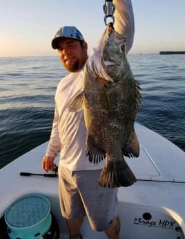 Limited time offer! Full day 