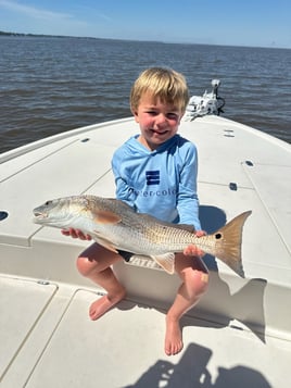 30A Inshore 3 Hour Trip 