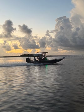 Half day live bait trip 