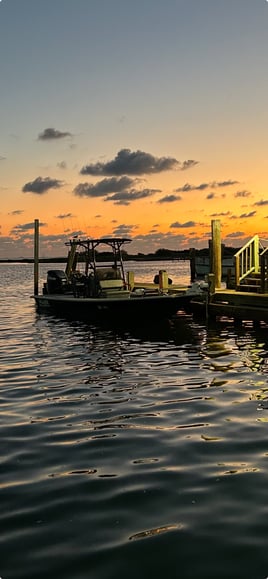 Half day live bait trip 