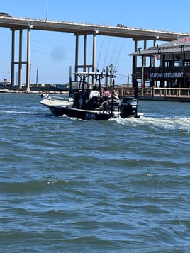 Half day live bait trip 