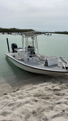 Seasonal Tarpon Fishing May-july