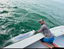 Seasonal tarpon fishing