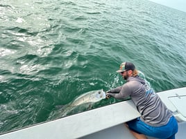 Seasonal tarpon fishing