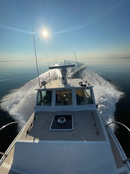 Offshore Sport Fishing