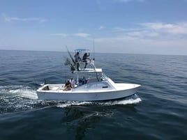 Redfish & Kingfish Trolling Trip