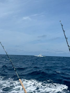 3/4 Day Offshore 