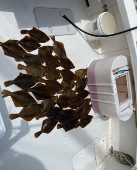 Cape Cod Winter Flounder