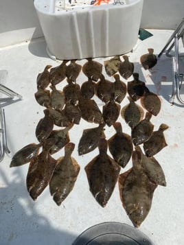 Winter Flounder 4 Hour Trips