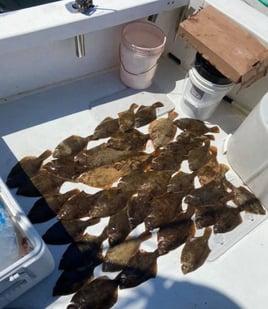 Winter Flounder 4 Hour Trips
