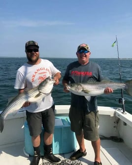 Striper/Bluefish 4-6 Hour