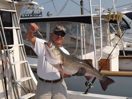 Striper/Bluefish 4-6 Hour