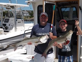 Striper/Bluefish 4-6 Hour