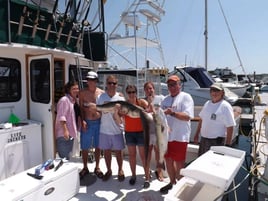 Striper/Bluefish 4-6 Hour